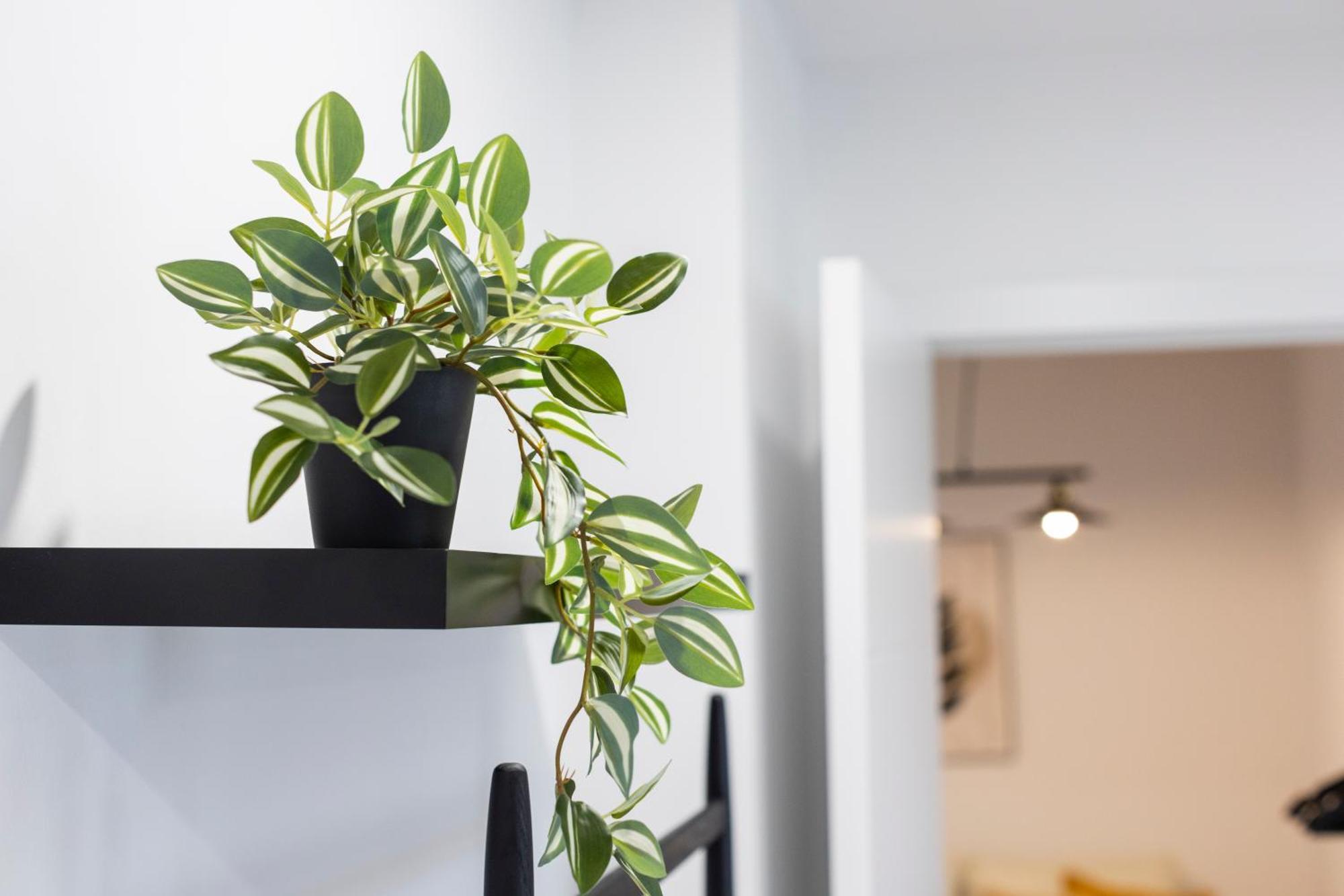 Apartamentos Gurugu Ribadeo Kültér fotó